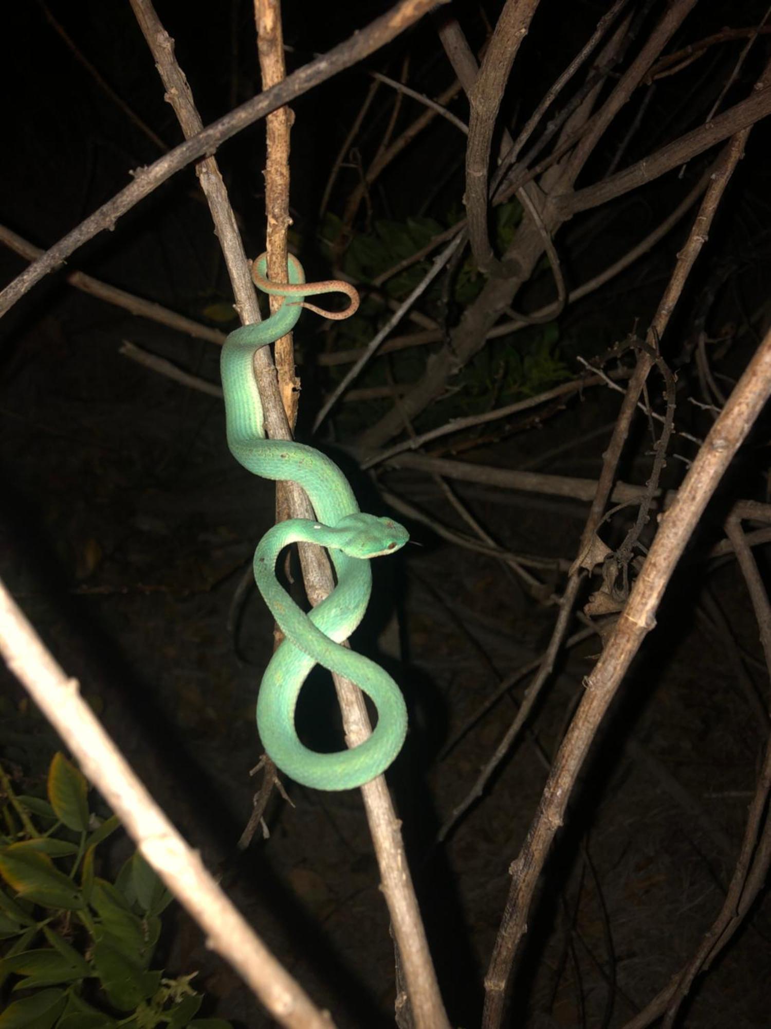 Dua Putri Komodo Homestay Екстериор снимка